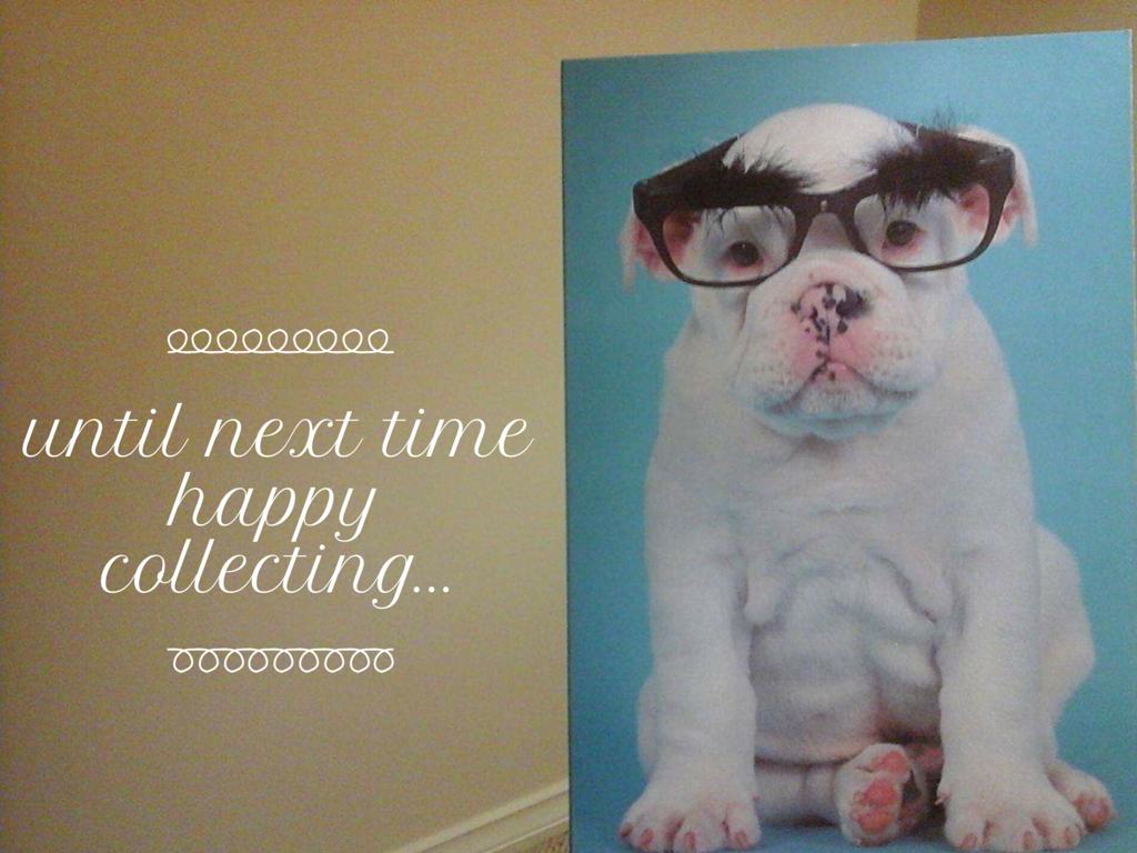 HAPPY BIRTHDAY COLLECTIBULLDOGS 1 year old 16 Collecting can open up possibilities