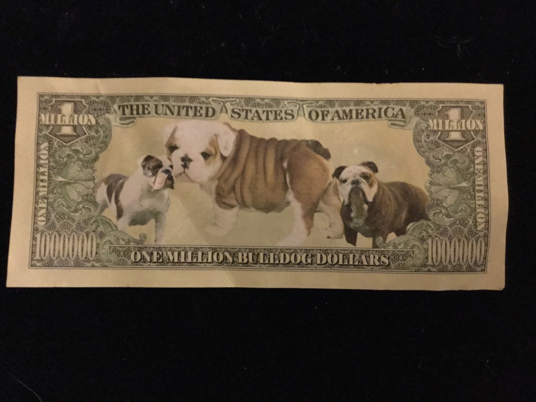 Bulldog Money
