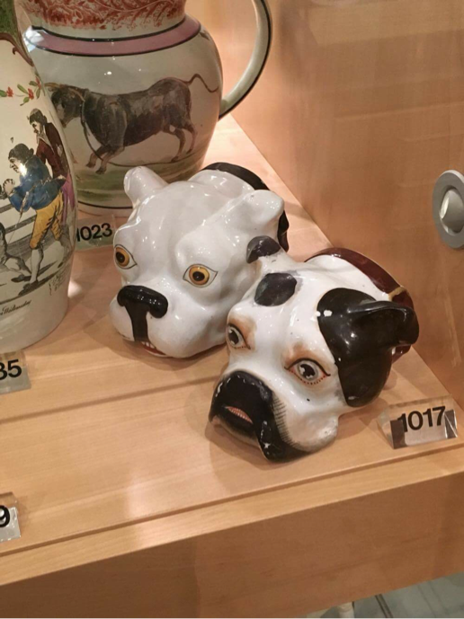 Excited About Exhibiting museum bound. 30 July 2016 7 Bulldog head cups Brighton museum