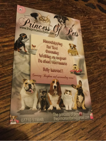 Princesses, pretty bulldogs and Brad Pitt 9th June 2016 Princess Winters biz card