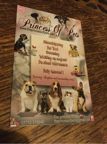 Princesses, pretty bulldogs and Brad Pitt 9th June 2016 Princesses, pretty bulldogs and Brad Pitt 9th June 2016 Princess Winters biz card