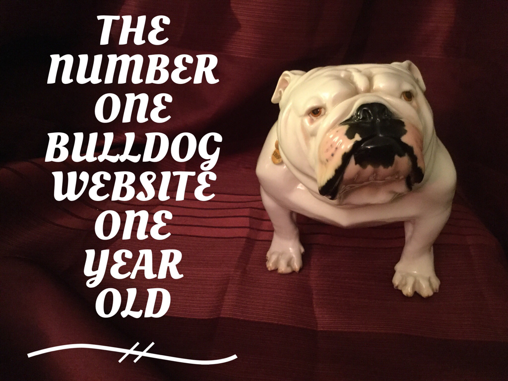 HAPPY BIRTHDAY COLLECTIBULLDOGS 1 year old 11 A very happy one year old