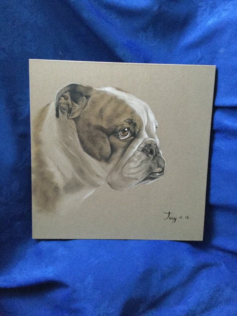 Ten of the best Curators choice pieces 21 Different commissions of Scruffy Louise