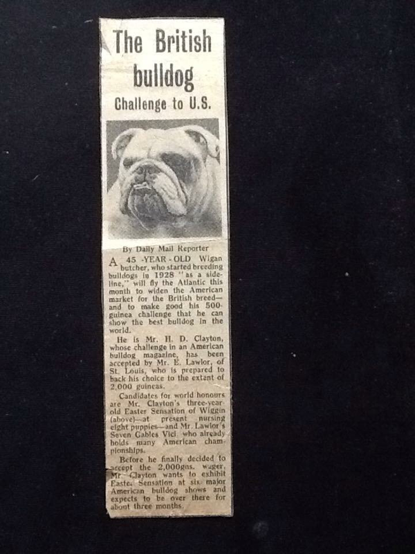 Grand dog our own good bye to Norman 2022 21 Grand-dog our own good bye to Norman