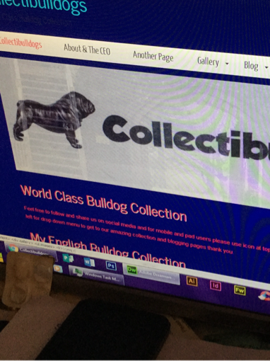Collectibulldogs for the 21st century 7 Fast and professional