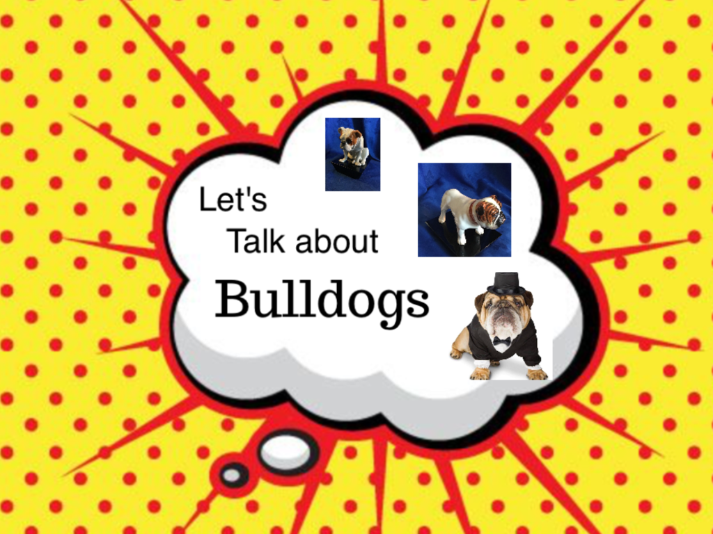A Collectibulldogs update 3 FORUMS