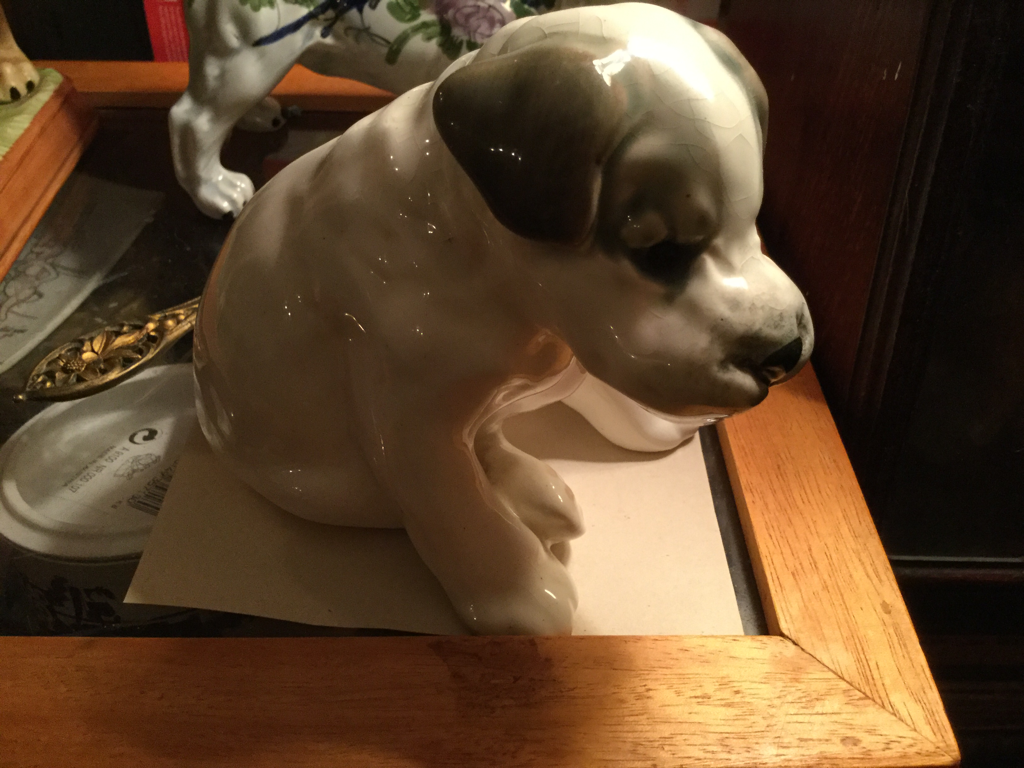 Russian made bulldog pup