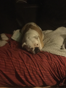 Wiggle! Time flies when you wiggle your thing 10 Wiggles Takes A Nap