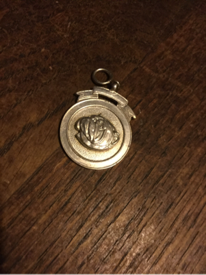 Bulldogs they get your head in a spin 20th may 2016 12 Vintage silver medals