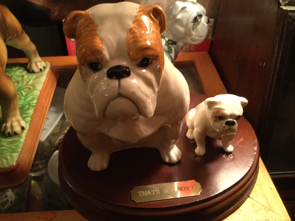Puppies so Adorabull. 30th may 2016 11 That's my boy set up