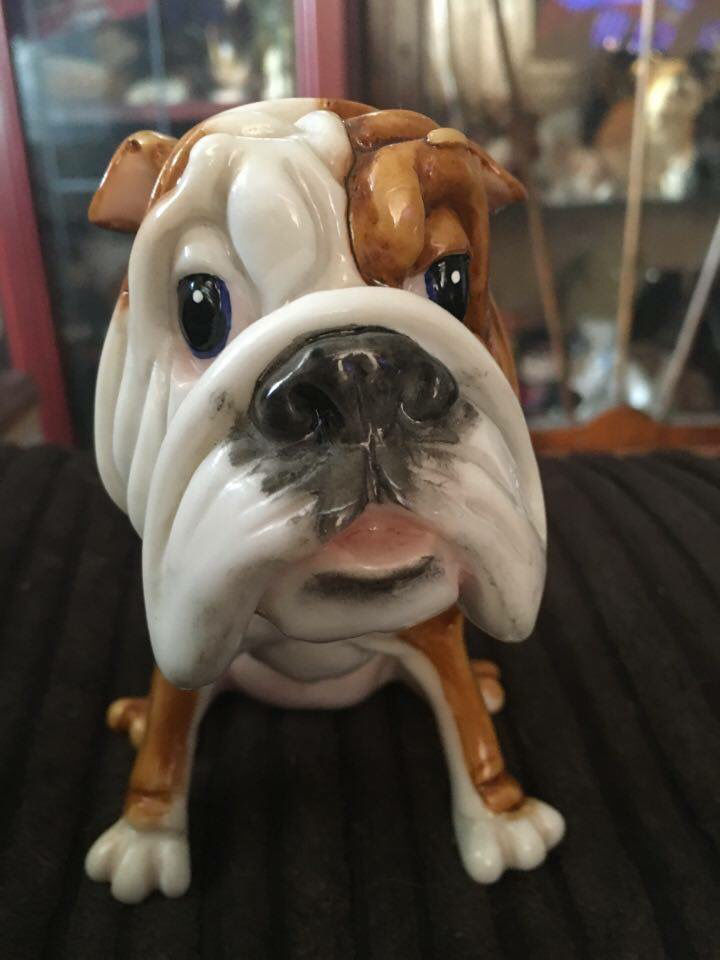 Comical bulldog courtesy of collectibulldogs