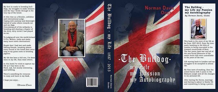 ROYAL DOULTON THE BEGINNINGS OF 2022 4 Brilliant read