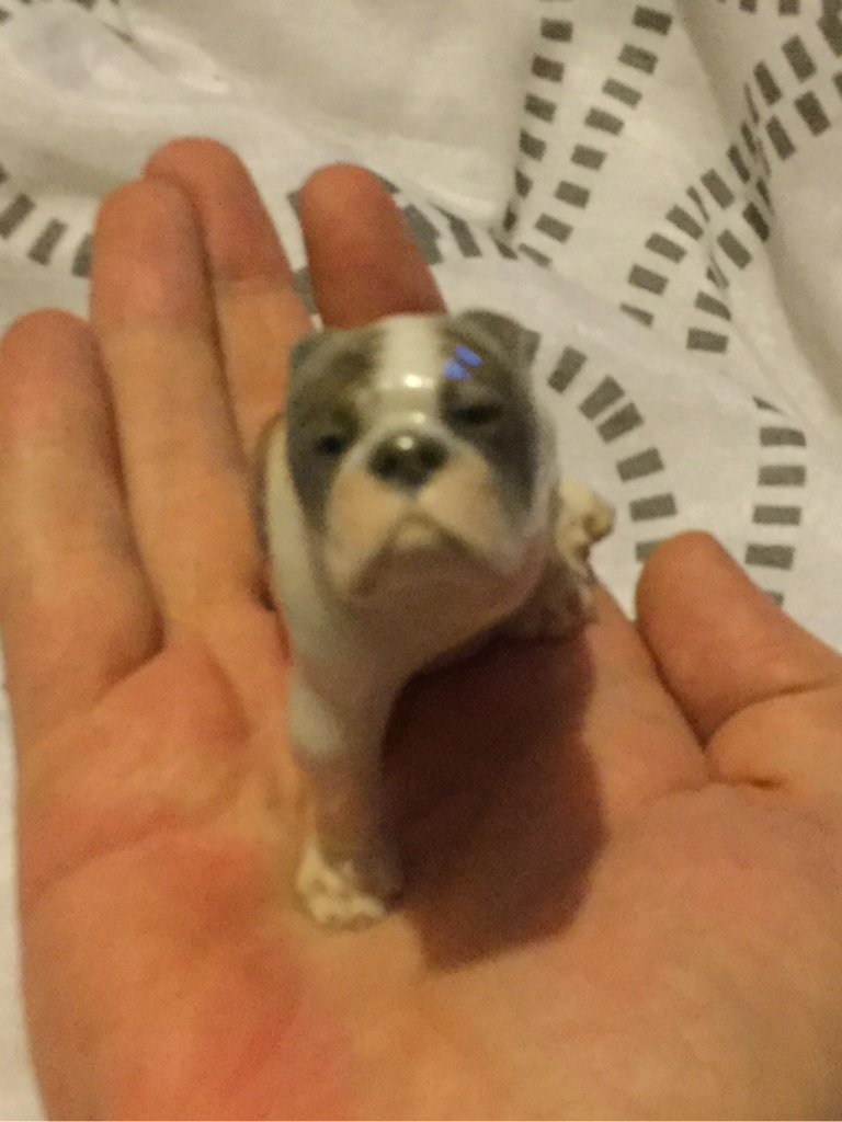 Thomas Madson bulldog figurine