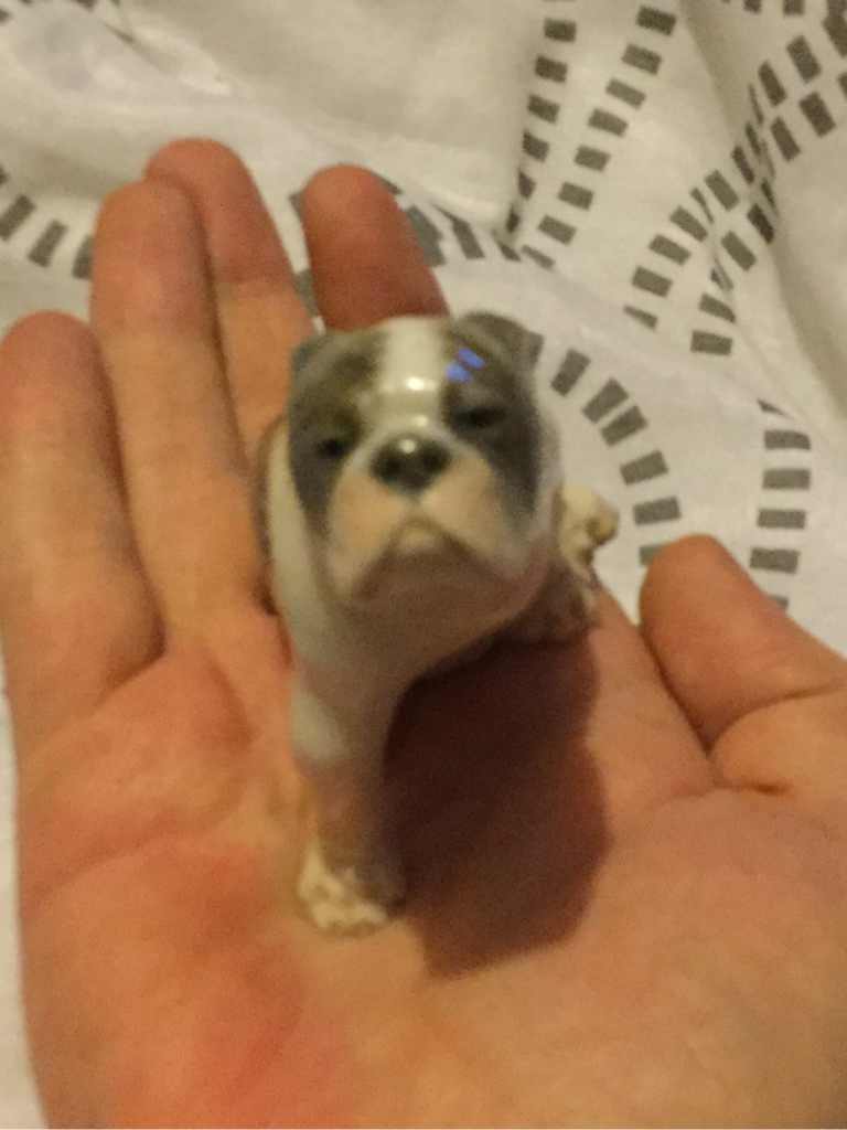 LATEST EDITIONS 5 Thomas Madson bulldog figurine