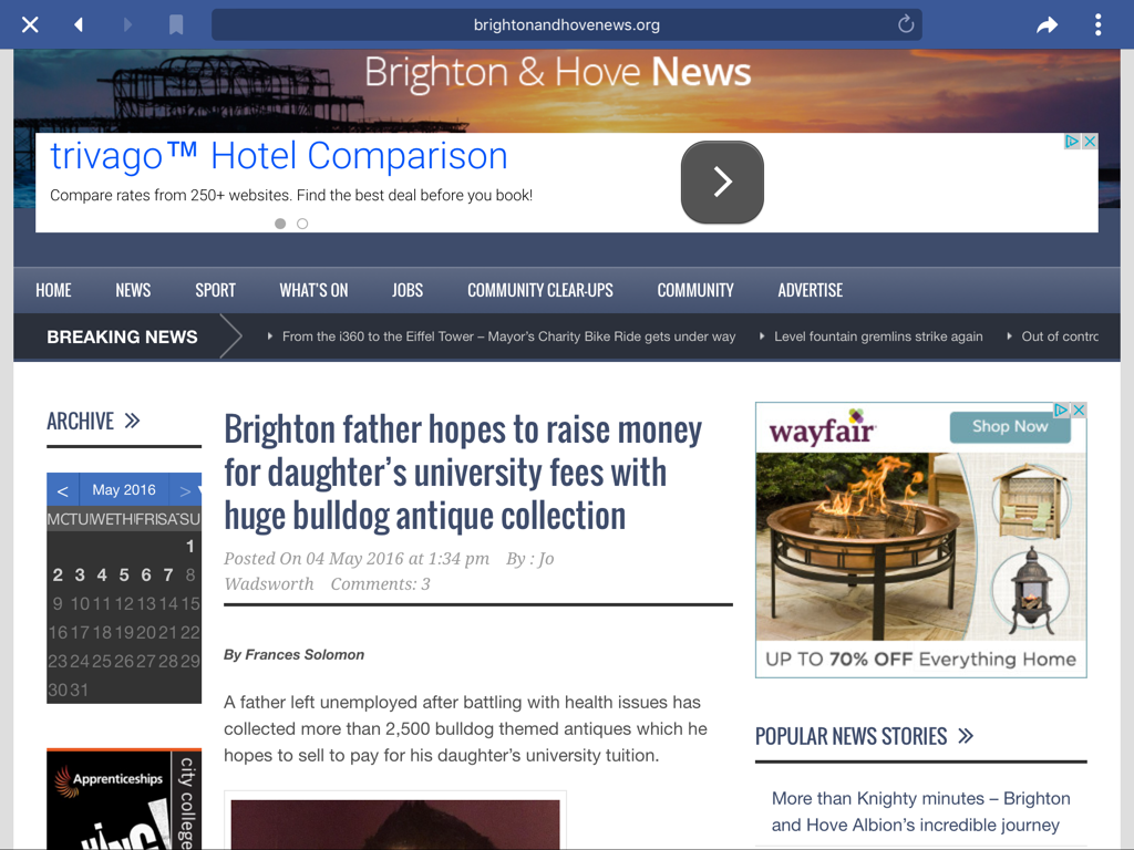 Collectibulldogs for the 21st century 8 Local news article