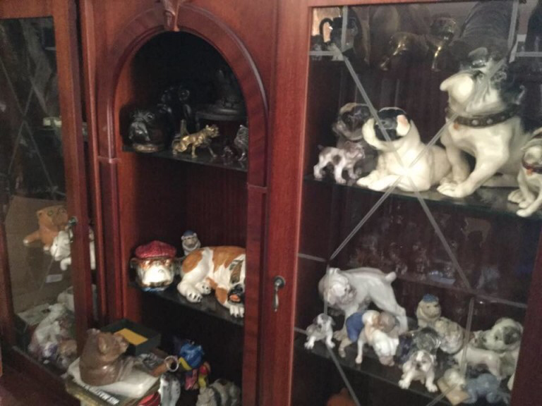 Collectibulldogs makes the local news!!! 7 One of my pics used in article