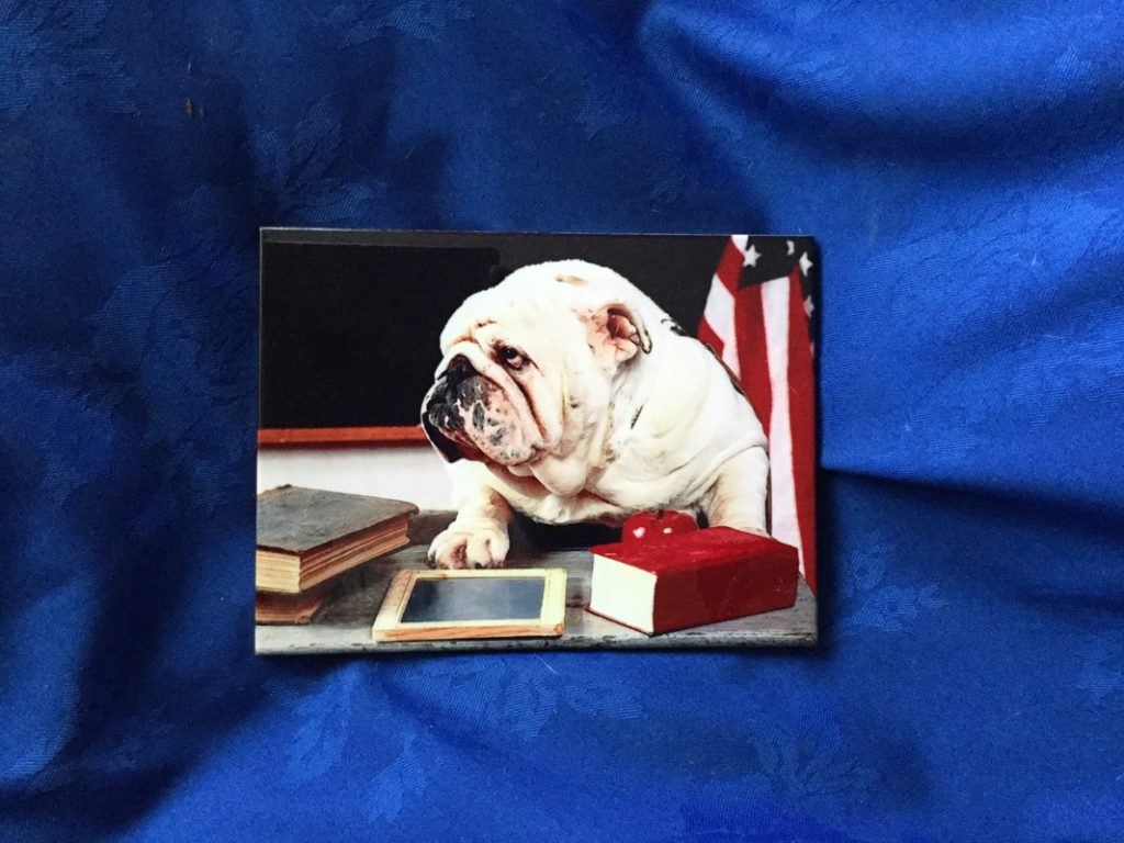 Discover Bulldog memorability at collectibulldogs 2022
