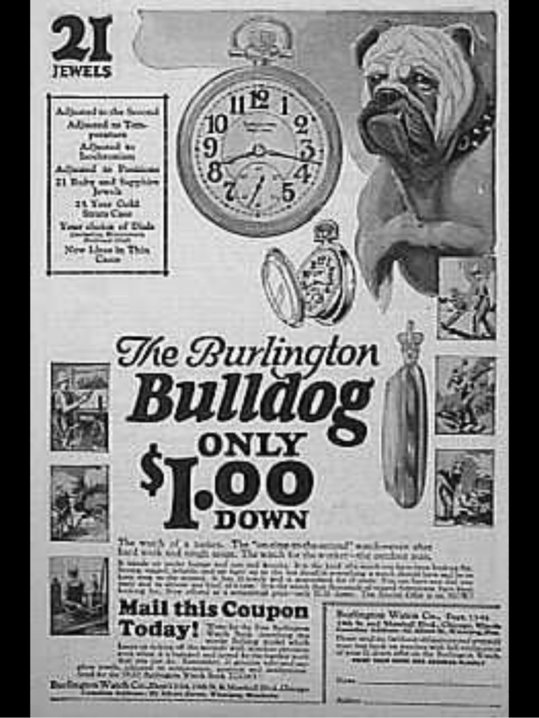 The world of Advertising bulldogs and Harry 4 Bulldog advertise