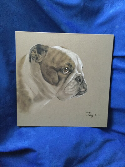 Bulldogs they get your head in a spin 20th may 2016 13 Scruffy Louise by pipi jay