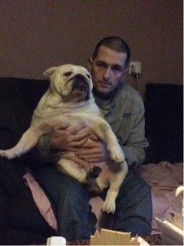 Bulldogs they get your head in a spin 20th may 2016 14 Hi from myself and wiggles