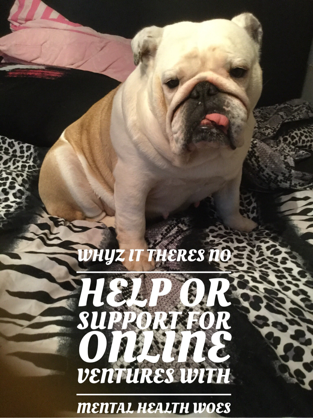 Socialising bulldogs a good influence 29th August 2016 13 Question for SEO on Twitter