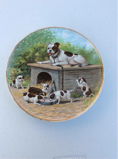 Collectibulldogs Come Check Us Out 16th June 2016 9 Beautiful pieces always coming