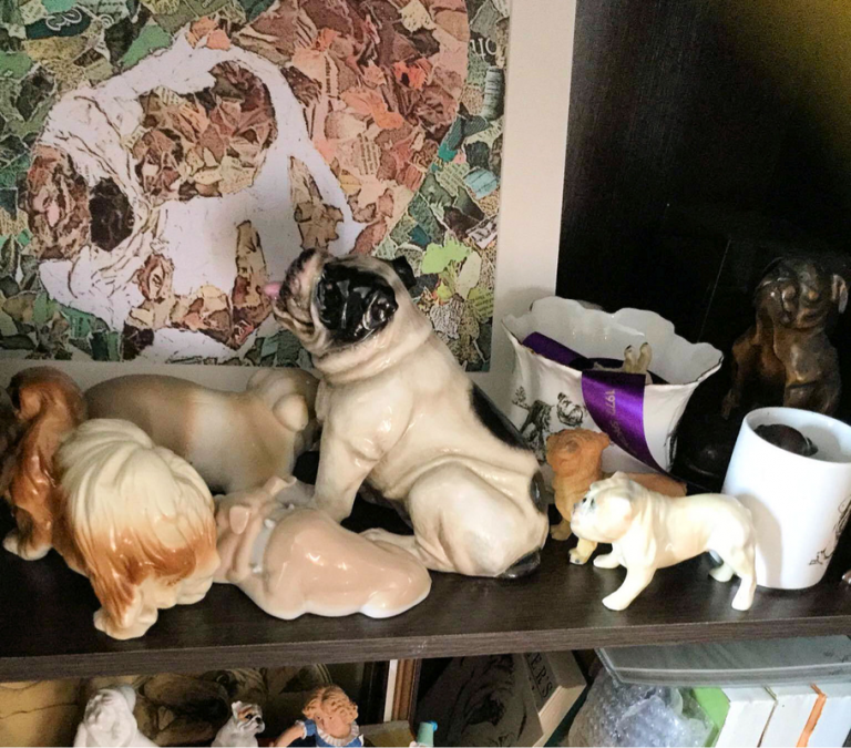 Collection Collection