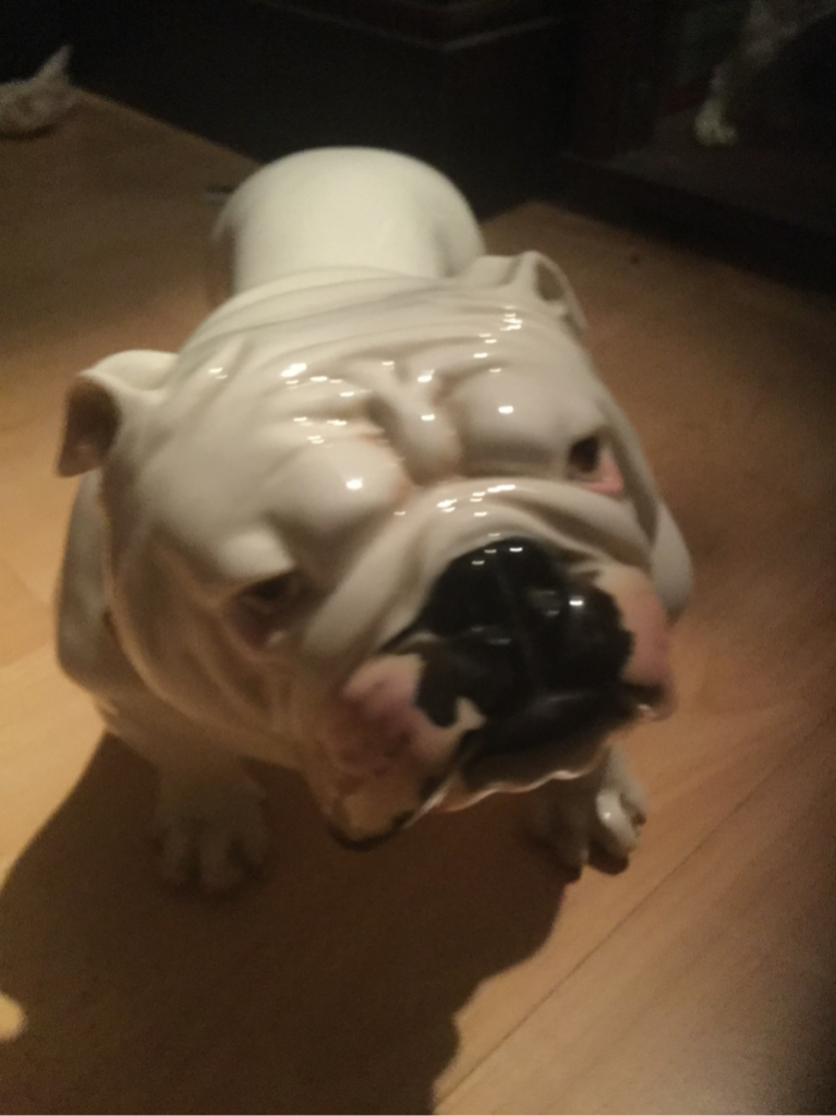 The world of Advertising bulldogs and Harry 5 Nymphenburg bulldog
