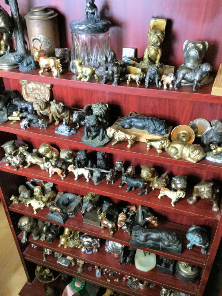 Collection Collection