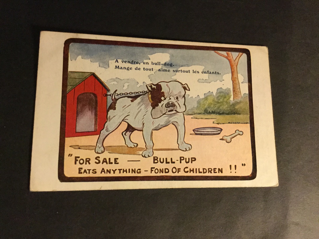 Vintage bulldog postcard