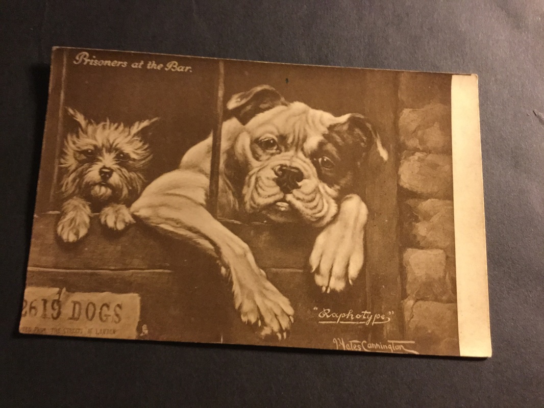 Vintage bulldog postcard