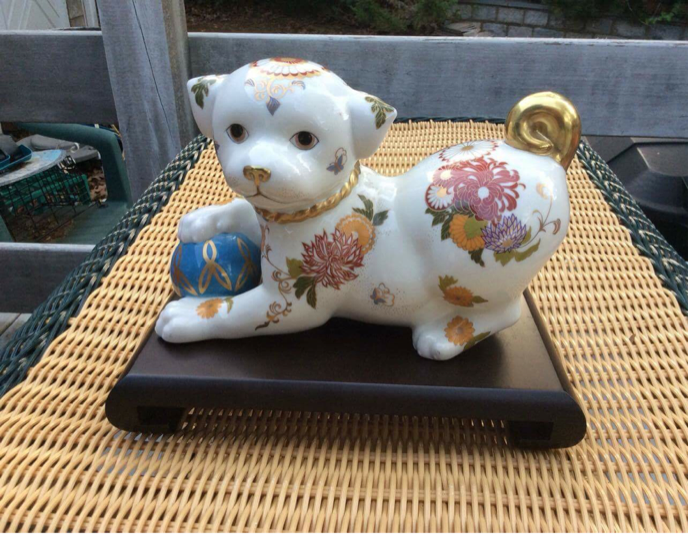 It's been a year, still keeping it real? 16th August 2016 9 Japanese Satsuma bulldog playing with a ball