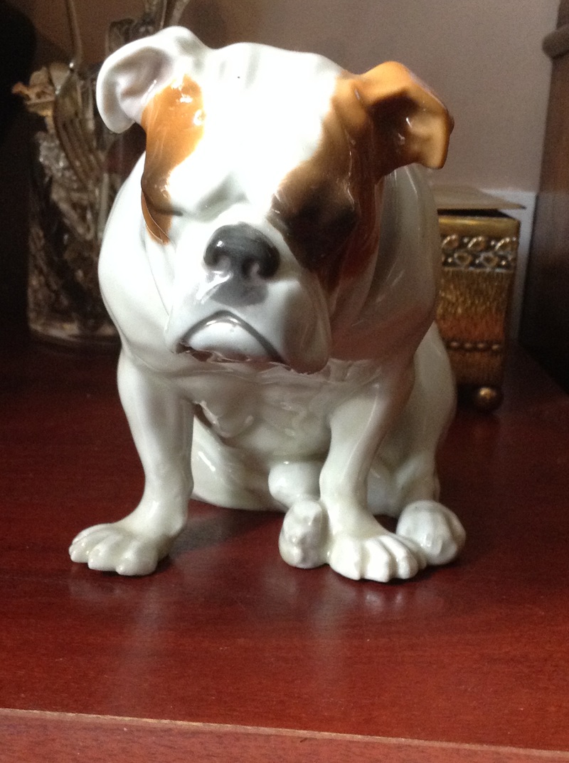 A selection of bulldog perfection 2022 35 Seated huebach