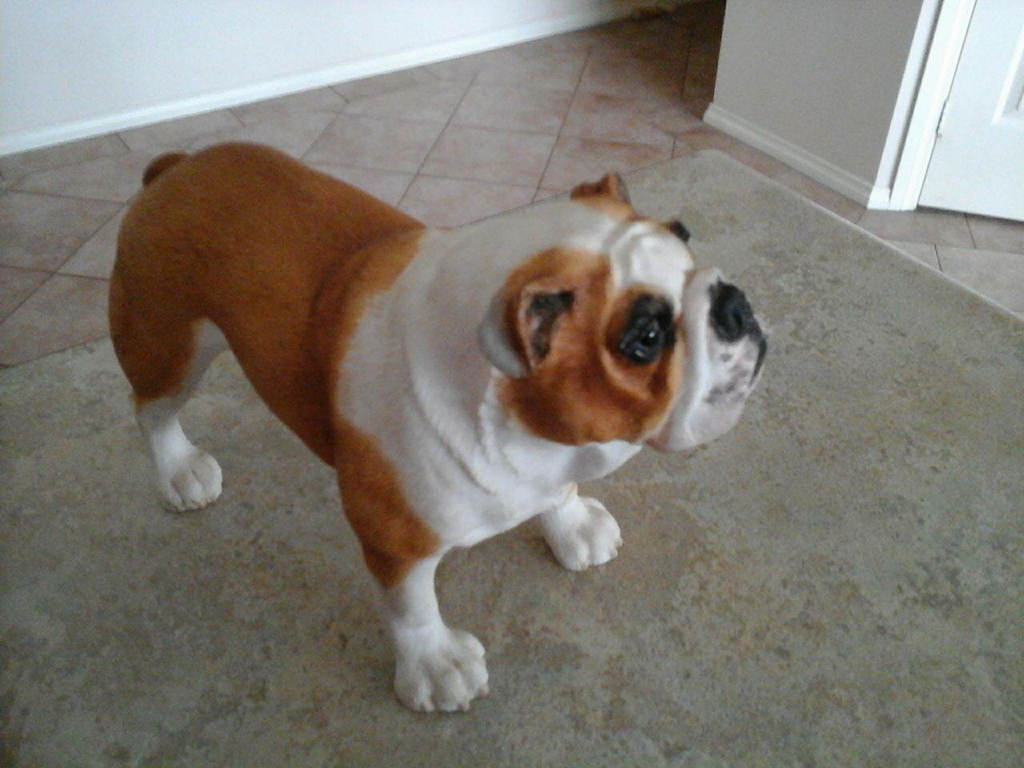 Guest blog and picture galleries from the past 13th June 2016 4 Resin bulldog