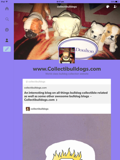 Socialising bulldogs a good influence 29th August 2016 21 Tumblr page