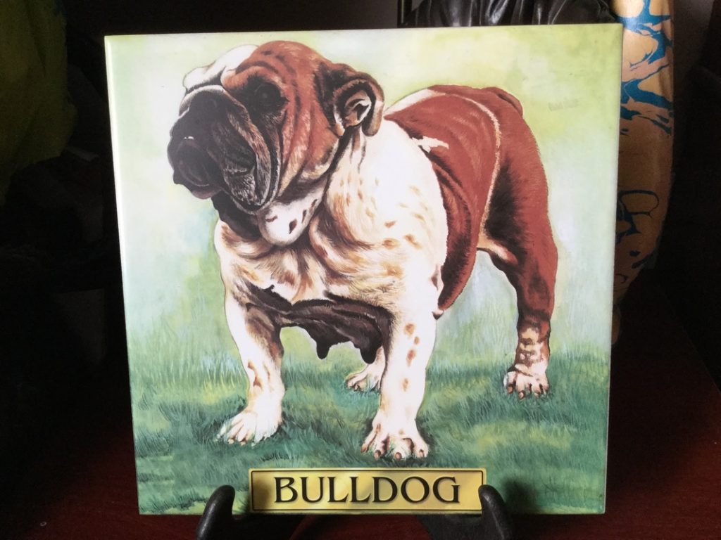 Discover Bulldog memorability at collectibulldogs 2022