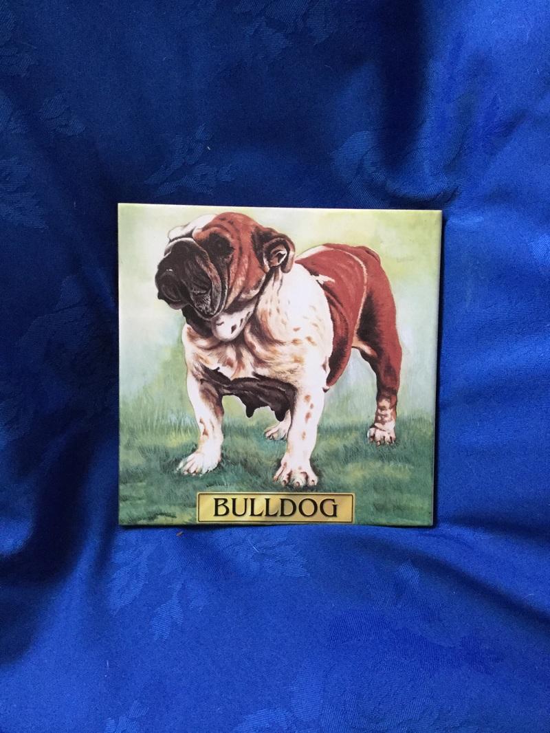 Vintage bulldog tile