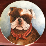 Bulldogs on display a museum taster 13 Bulldog museum Brighton