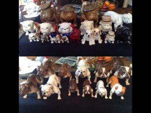 Bulldogs on display a museum taster 11 Bulldog museum Brighton