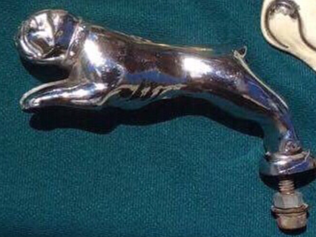 Vintage chrome bulldog