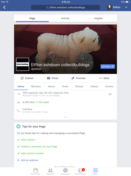 Socialising bulldogs a good influence 29th August 2016 14 FACEBOOK PAGE