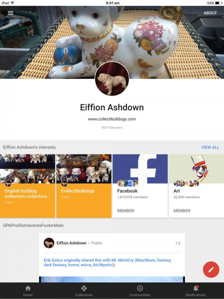 Socialising bulldogs a good influence 29th August 2016 16 Google Plus