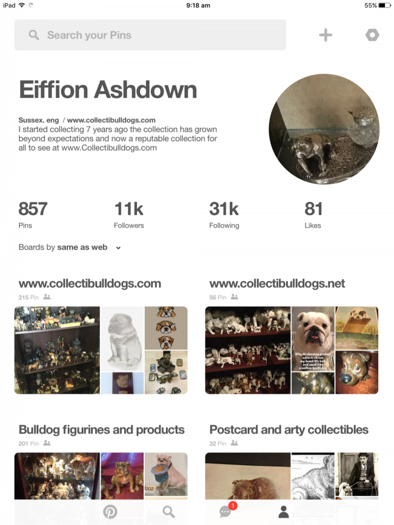 Socialising bulldogs a good influence 29th August 2016 20 Pinterest