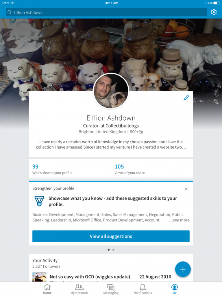 Socialising bulldogs a good influence 29th August 2016 19 Professional Linkedin