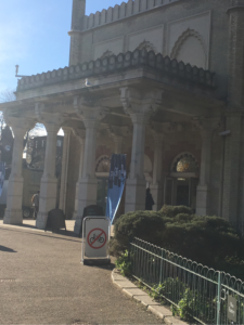 English bulldogs on display. Not long now 19 Brighton Museum image