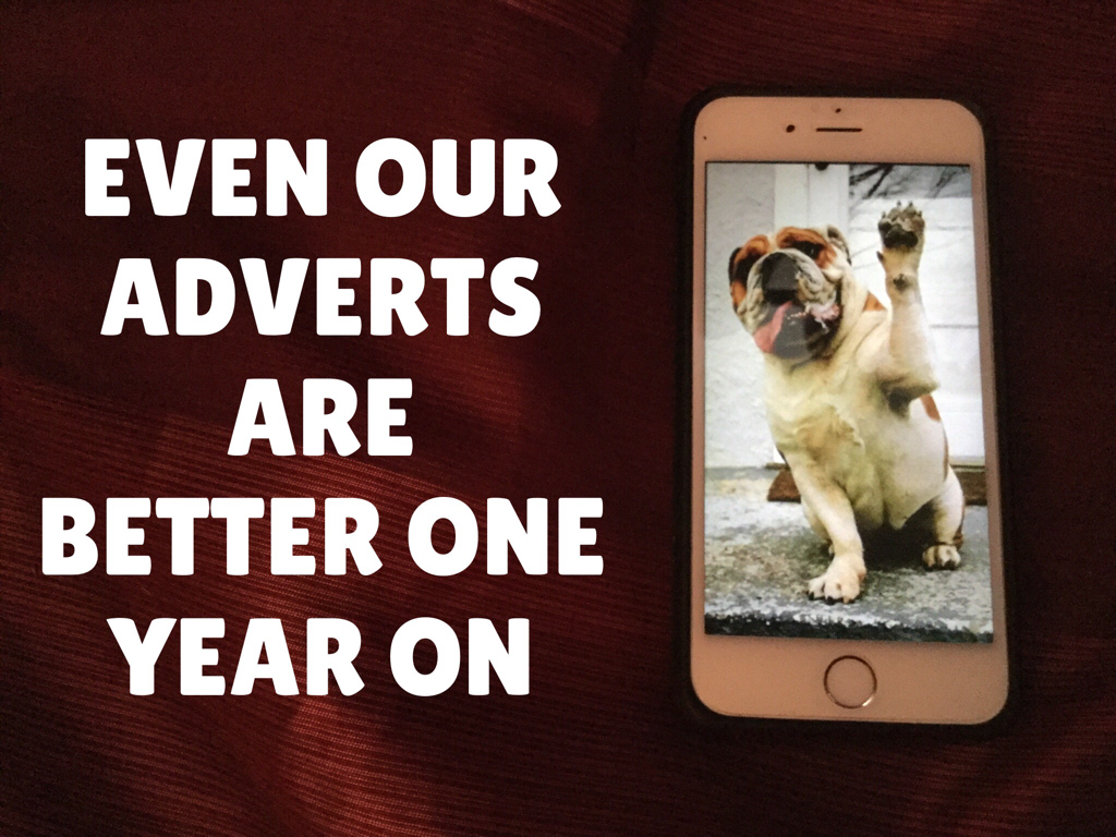 HAPPY BIRTHDAY COLLECTIBULLDOGS 1 year old 13 Home made ads needed to catch your gaze