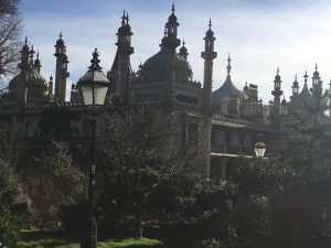 museum and links to mental health 8 Bulldog museum Brighton