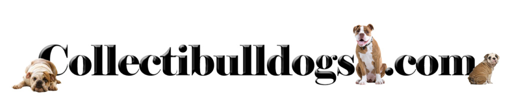 Welcome to www.collectibulldogs.com The World Class Bulldog collection online!