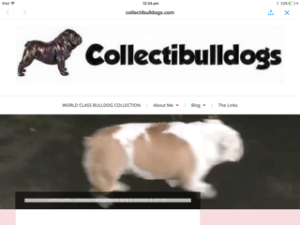 Blogging Blogging? New Look Site