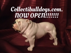 Blogging Blogging Open Now